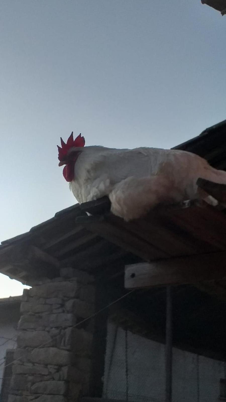 Agriturismo Cascina Knec Feisoglio Екстериор снимка