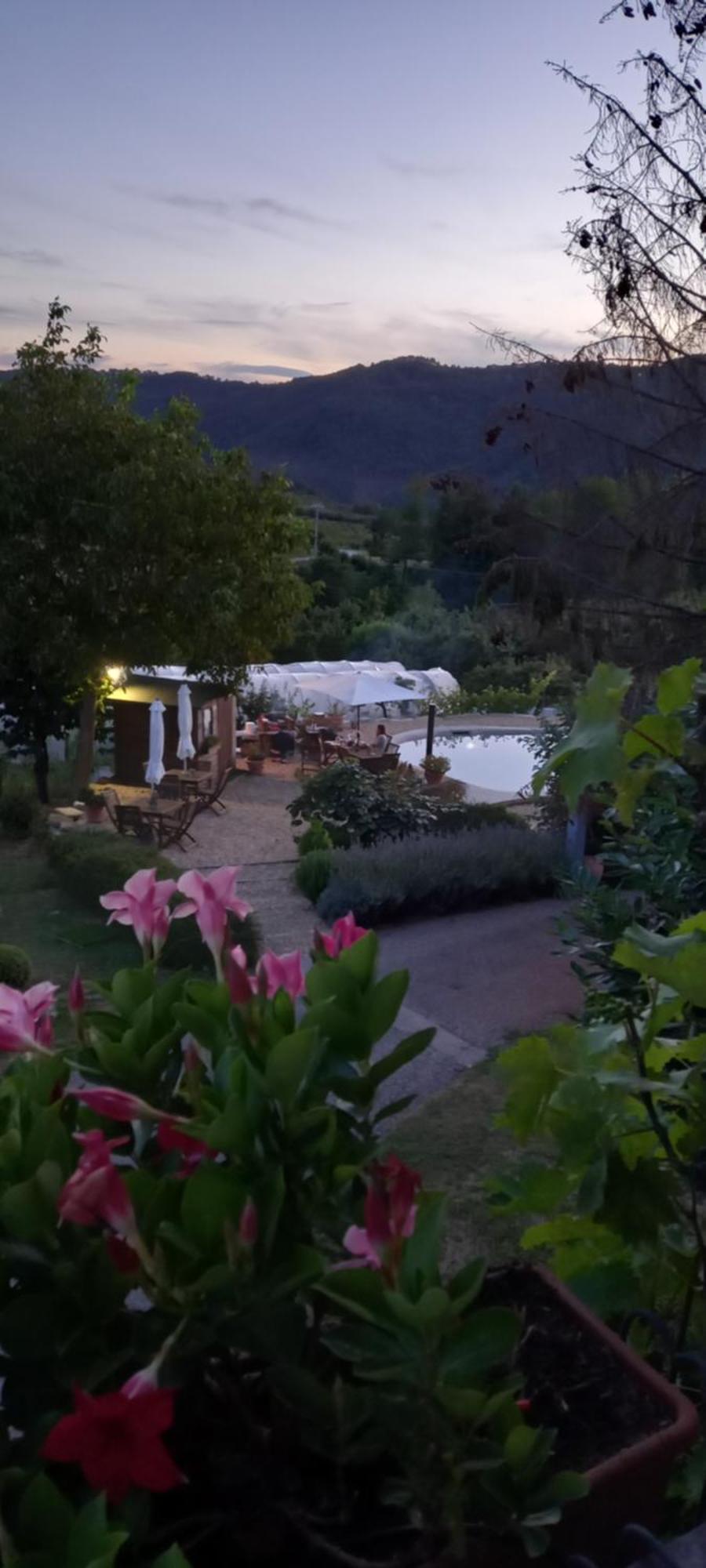 Agriturismo Cascina Knec Feisoglio Екстериор снимка