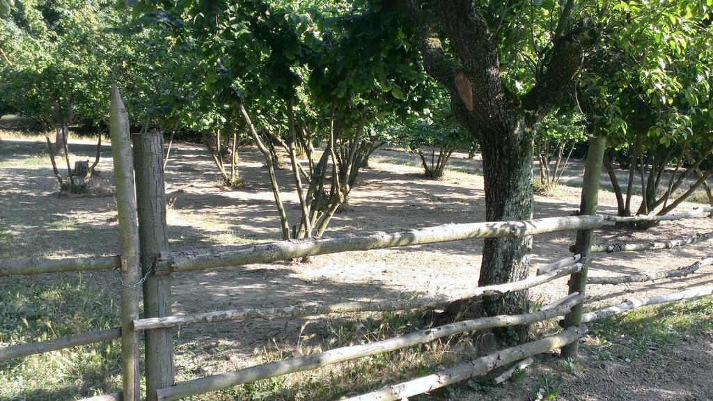 Agriturismo Cascina Knec Feisoglio Екстериор снимка