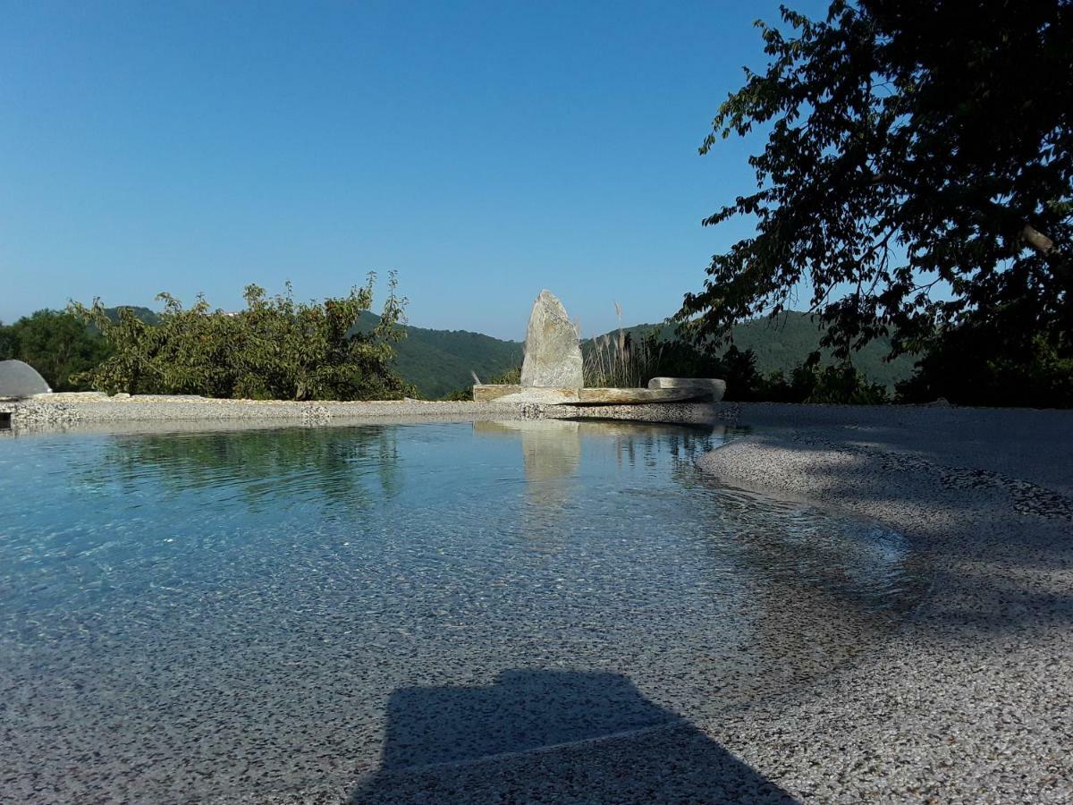 Agriturismo Cascina Knec Feisoglio Екстериор снимка